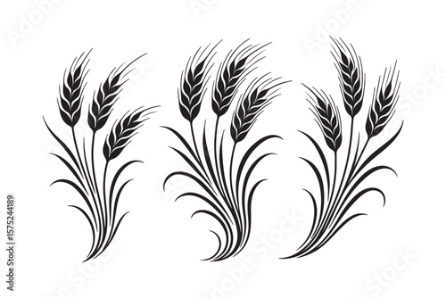 Ear of Wheat, Barley or Rye. Vector icon isolated on white background