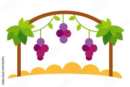 grapes on a vine