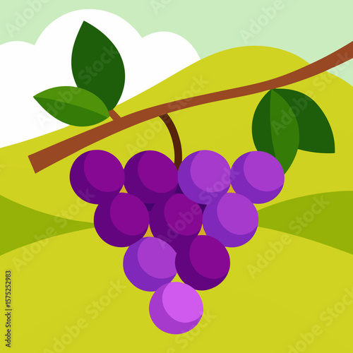 bunch of grapes