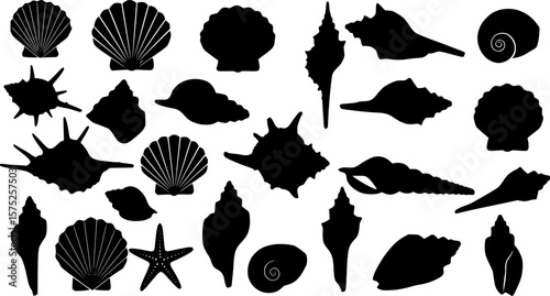 Sea shell silhouette set vector design big pack of illustration and icon
