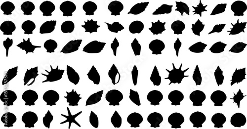 Sea shell silhouette set vector design big pack of illustration and icon
