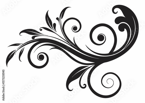 Black ornate floral swirl flourish on white background vector