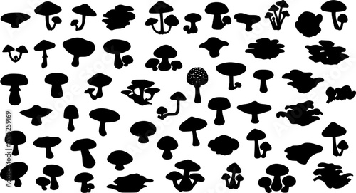 Mushroom silhouette set vector design big pack of fungus illustration and icon