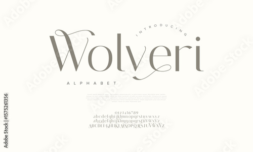 Sophisticated serif font with artistic swashes, perfect for creative branding projects
