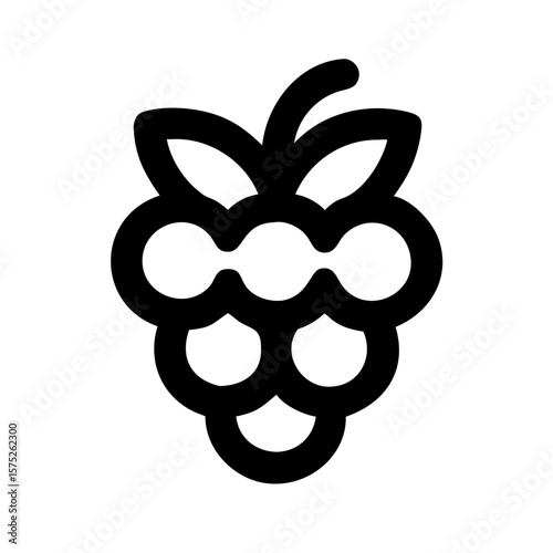 raspberry icon