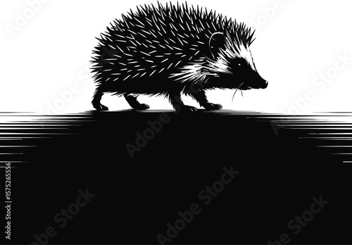 Spiky creature walking silhouette hedgehog animal