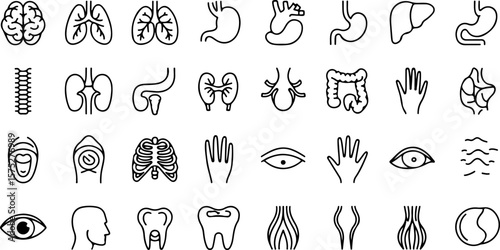 A collection of simple black line art icons representing various human organs and body parts including the brain lungs heart stomach liver intestines spine kidneys eyes teeth hands and more
