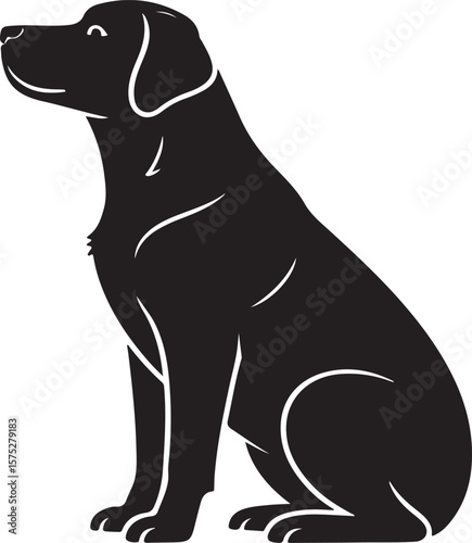 Black Labrador Retriever sitting profile canine animal