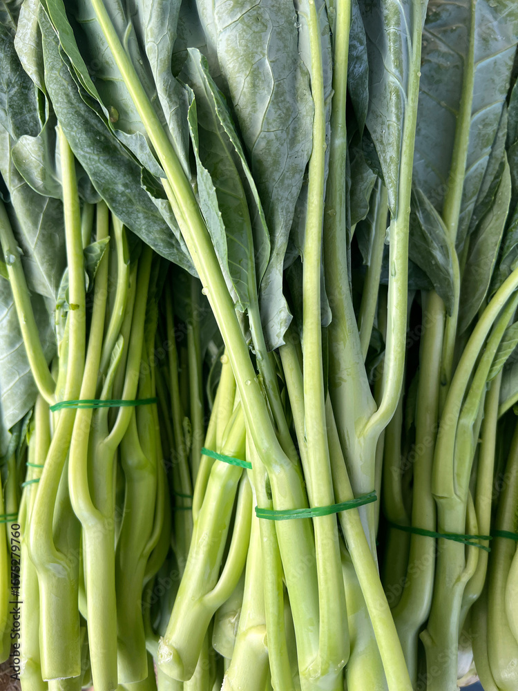 Fototapeta premium fresh green kale in the market
