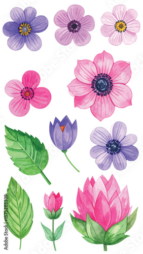 Watercolor Floral Clipart Vector Set. Pink and Purple Flowers with Green Leaves