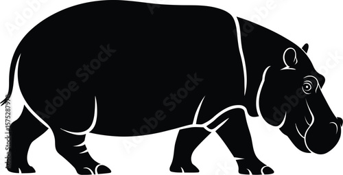 Black hippopotamus walking profile animal wildlife