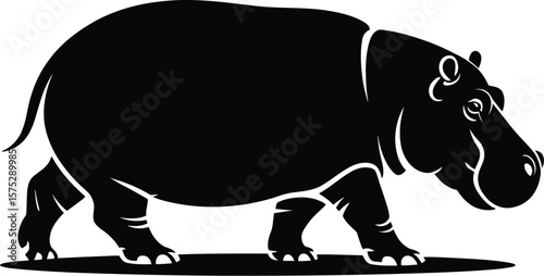 Black hippopotamus walking side view animal white