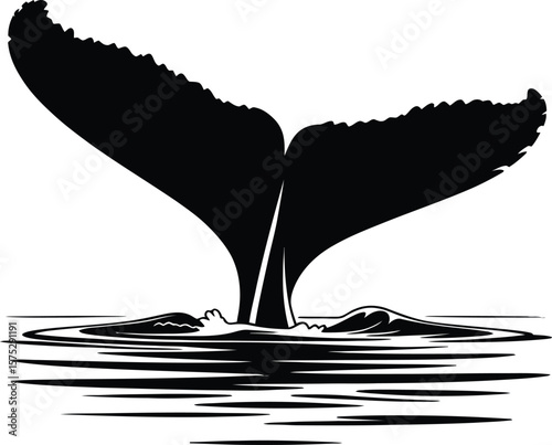 Whale tail diving into water fluke ocean