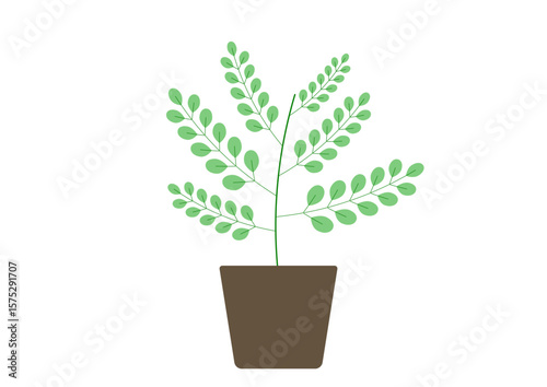 観葉植物のシンプルなイラスト