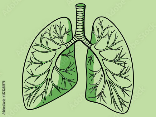 Vector illustration of lungs with leafy green bronchi