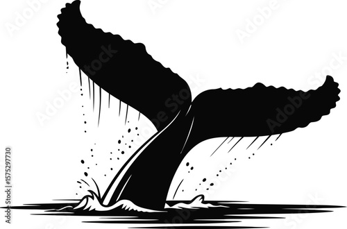 Whale tail splashing water fluke ocean