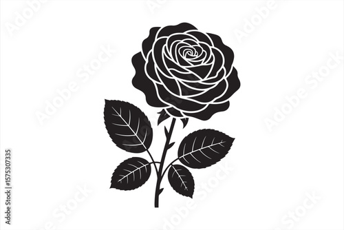 Detailed Black Rose with Fine Lines and Leaves in Modern Minimalist Style, Floral Art