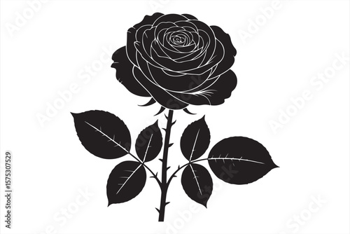 Elegant Black Rose Illustration with Detailed Petals and Leaves, Minimalist Floral Design