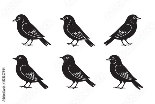 Symmetrical Black Birds with Fine Art Features, Minimalist Abstract Birds Design in Modern Style