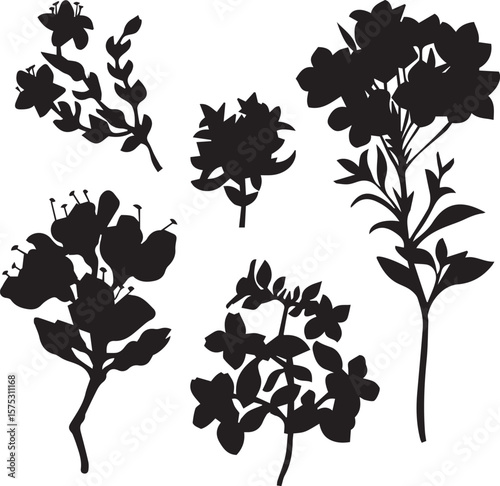 Realistic Floral Elements | High-Quality Flower Silhouette Vectors set. 