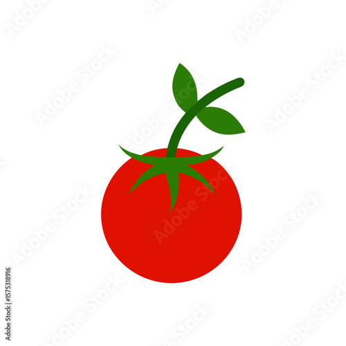  tomato-vine-on-white-background--