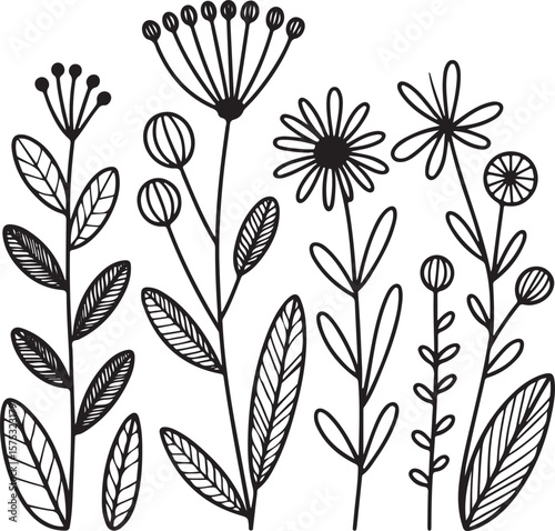 seamless floral pattern