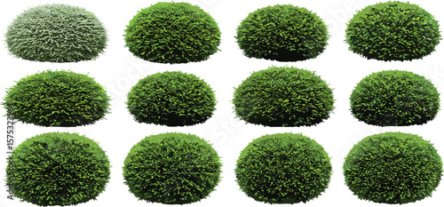 Set of realistic green oval bush vector illustrations, isolated garden shrubs, landscaping plants, topiary clipart, decorative foliage elements