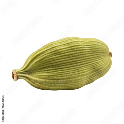 Wallpaper Mural A single cardamom pod with a ribbed texture. Use this spice in your next culinary or baking project. Torontodigital.ca