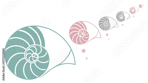 Nautilus shell sequence illustration for biology marine life and geometric pattern design vector art