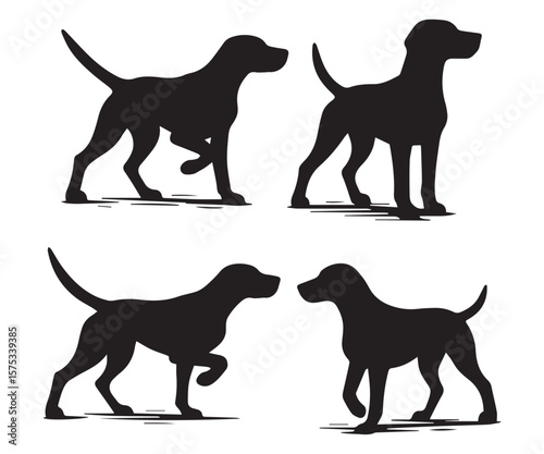 pointer dog silhouette, set of pointer dog silhouette vector illustration