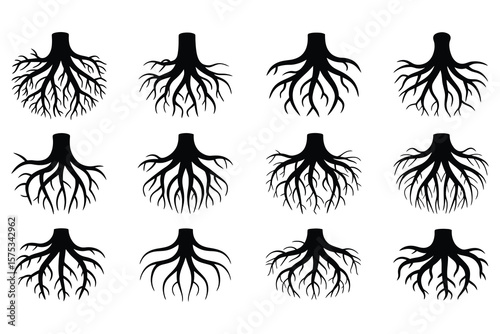 Black tree roots spreading outwards black silhouette
