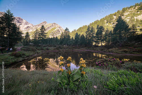 Fototapeta Naklejka Na Ścianę i Meble -  lake in the mountains