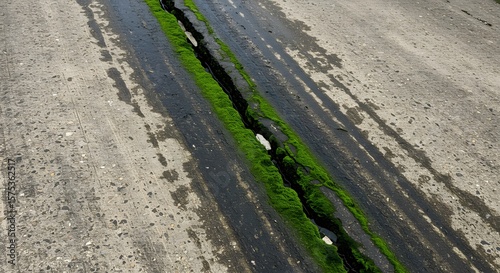 Concrete crack with moss, road surface damage, pavement flaw and green moss growing in the crack repair
