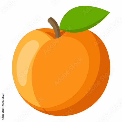 vector illustration of an orange fruit Peach