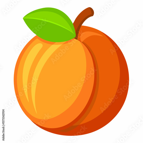 vector illustration of a Peach