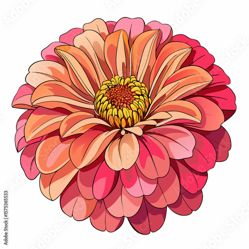 pink chrysanthemum flower