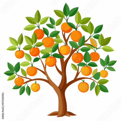 orange tree with fruits