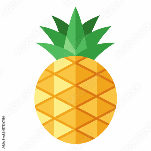 vector illustration of an orange