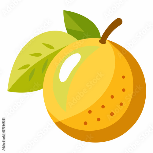 vector illustration of an orange fruit