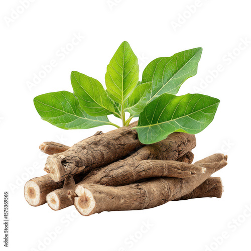 Pile of ashwagandha roots with fresh green leaves isolated on transparent background