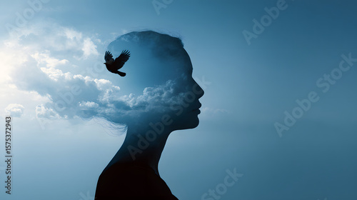 The concept of 'headspace' as a clear, open sky.	A surreal, conceptual image where a person's head is silhouetted, and inside their head is not a brain, but a clear, calm, blue sky with a single bird 