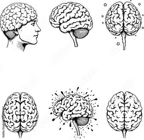 Six-Brain Study Poster Featuring Detailed Cerebrum, Cerebellum, and Abstract Effects Including Stars and Splash Patterns Across Multiple Perspectives in Minimalist Black Line Art Style