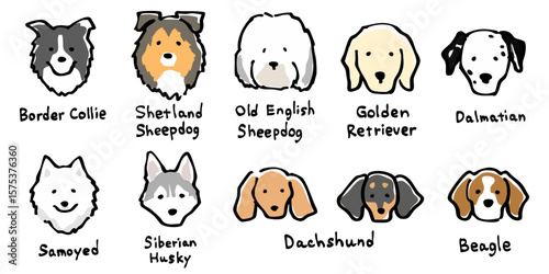 手描き風 犬のイラストセット-1