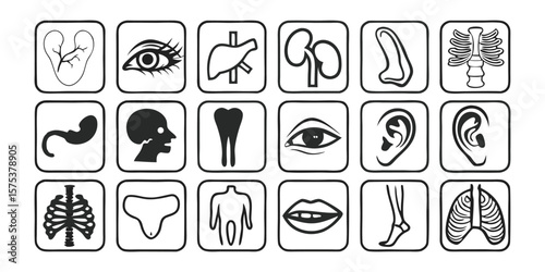 Comprehensive Anatomy Glyph Icon Set Featuring Detailed Vector Pictograms Including a Dog Illustration Perfect for Medical and Educational Designs on transparent background comprehensive set anatomy