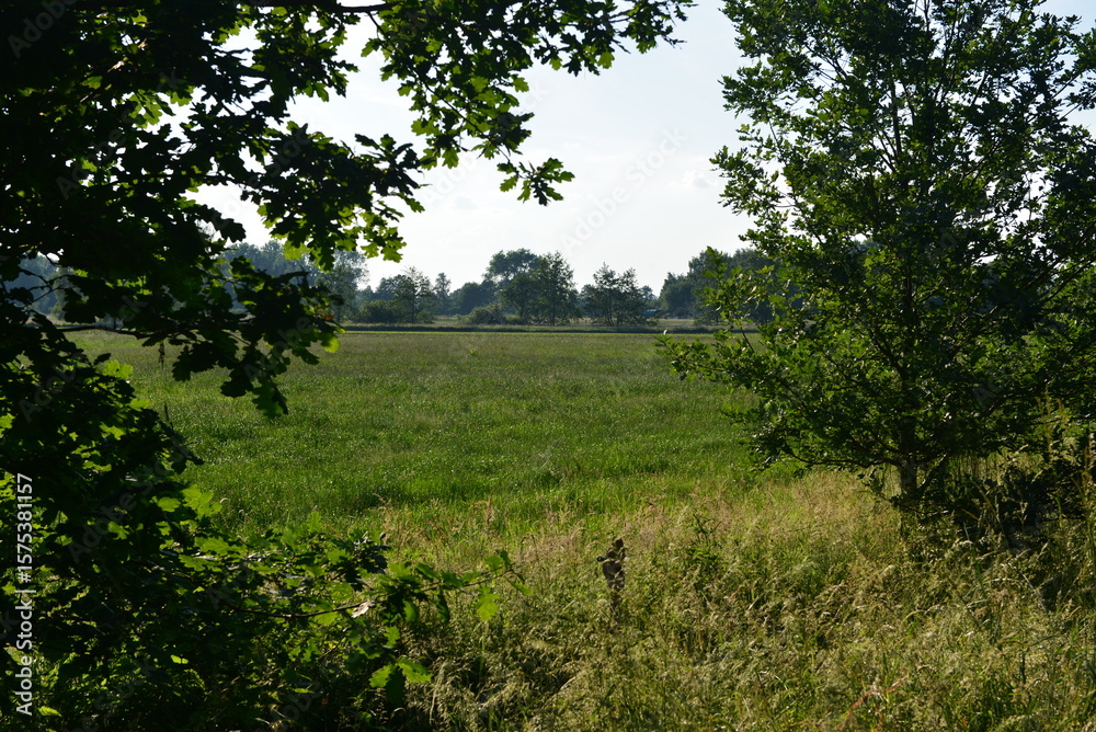 Tönnhausen_0033
Tönnhausen_0033