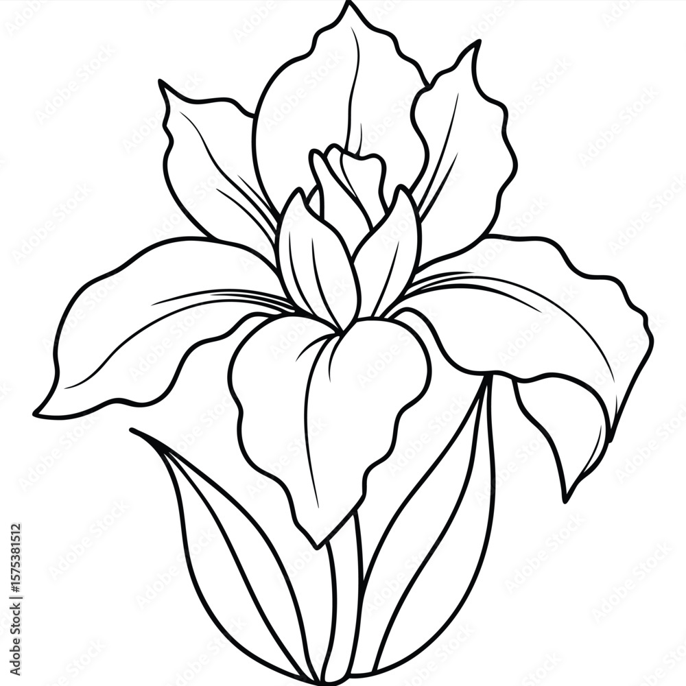 Obraz premium Iris flower outline vector illustration