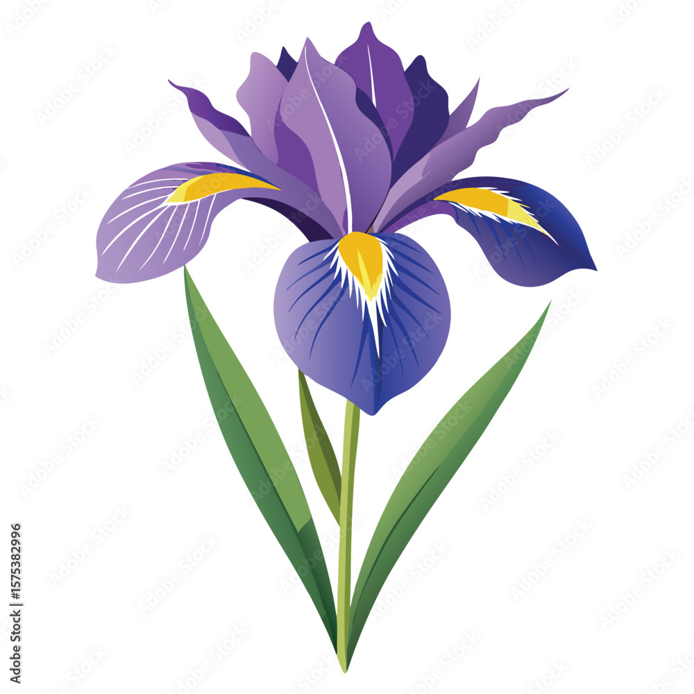 Naklejka premium Iris flower outline vector illustration