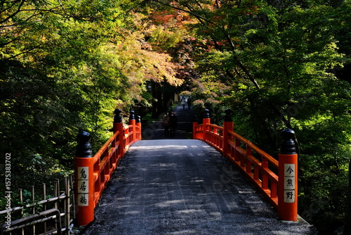 Wallpaper Mural 京都、紅葉、佛寺、寺院、文化財、木造建築、古代建築、日本文化、歷史名勝、古都京都の文化財、木、綠色、青空、秋、絶景、写真素材 Torontodigital.ca