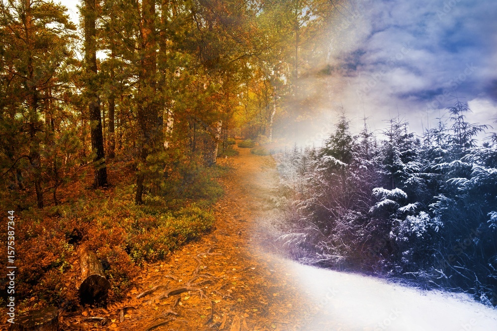 Obraz premium Autumn changing to winter