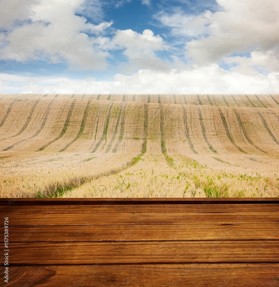 Obraz premium Wooden planks against field